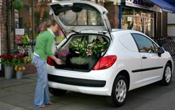 New business van: Peugeot 207 car-derived van