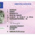 DVLA English driving licence