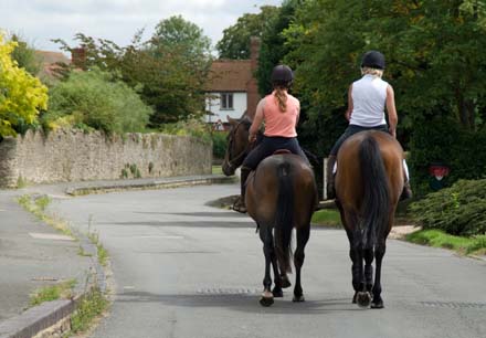 Sharing the road with horses