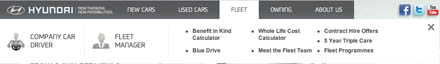HyundaiWebFleetSection New Hyundai website includes section for business car managers and drivers