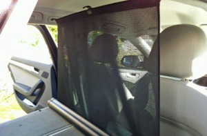 Audi A4 Avant cargo net