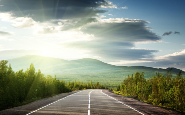 Dazzling sun: road accidents