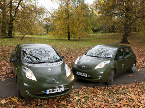 Nissan, Leaf, electric, cars, royal, parks